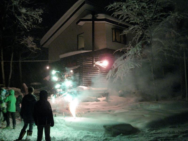 Alpine Lodge Hakuba Bagian luar foto